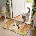 thumbnail image 5 of Easter Door Mat Non Slip Absorbent Floor Rug, Washable Kitchen Mat for Entrance Porch Bathroom Decor, Holiday Themed Indoor Outdoor Carpet for Home(M), 5 of 6