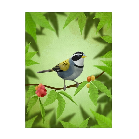 Trademark Fine Art Franco Caballero  Cerquero de collar Canvas Wall Art