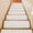 Off-White, variant on Beige Coastal Stair Treads Non Slip for Steps Starfish Shell Ocean Nautical 7 Pcs Reusable Adhesive Stair Runner Mats for Dogs Elders Carpet Treads Rugs for Staircase 8x30 In
