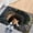23.62Inch, variant on 3D Cat Hole Area Rug Diatomite Absorbent Non- Visual Trap Floor Mat Optical Illusion Stone Well Carpet for Entryway, Bathroom & Living Room Decor