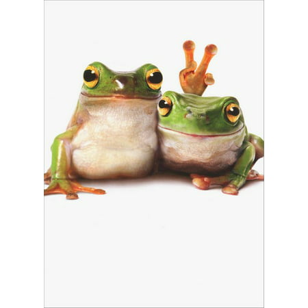 Avanti Press Frog Friends / Fingers Behind Heads Funny / Humorous Birthday (Funny Happy Birthday Cards For Best Friend)