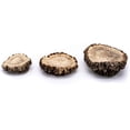 thumbnail image 4 of Perfect Pet Chews - Elk Burr Antler For Dogs Chew - Regular Treat, 4 of 7