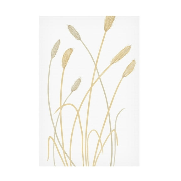 Canvas Wall Art - Pictufy Studio Ii 'Bunny Grass 01' Wall Art for Living Room, Bedroom, or Office Décor by Trademark Fine Art - 12 x 19 Inches