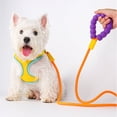 thumbnail image 2 of Soft Dog Leash for Small Dogs, Cloud Bubble Cotton Pet Lead, Comfortable Puppy Walking Rope, Non Slip Anti Lost Leash for Daily Walk，Orange, 2 of 6