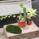 thumbnail image 5 of piezas de rocas artificiales decorativas con revestimiento de imitación, piedras falsas para decoración de jardín, arreglos florales y macetas, 5 of 8