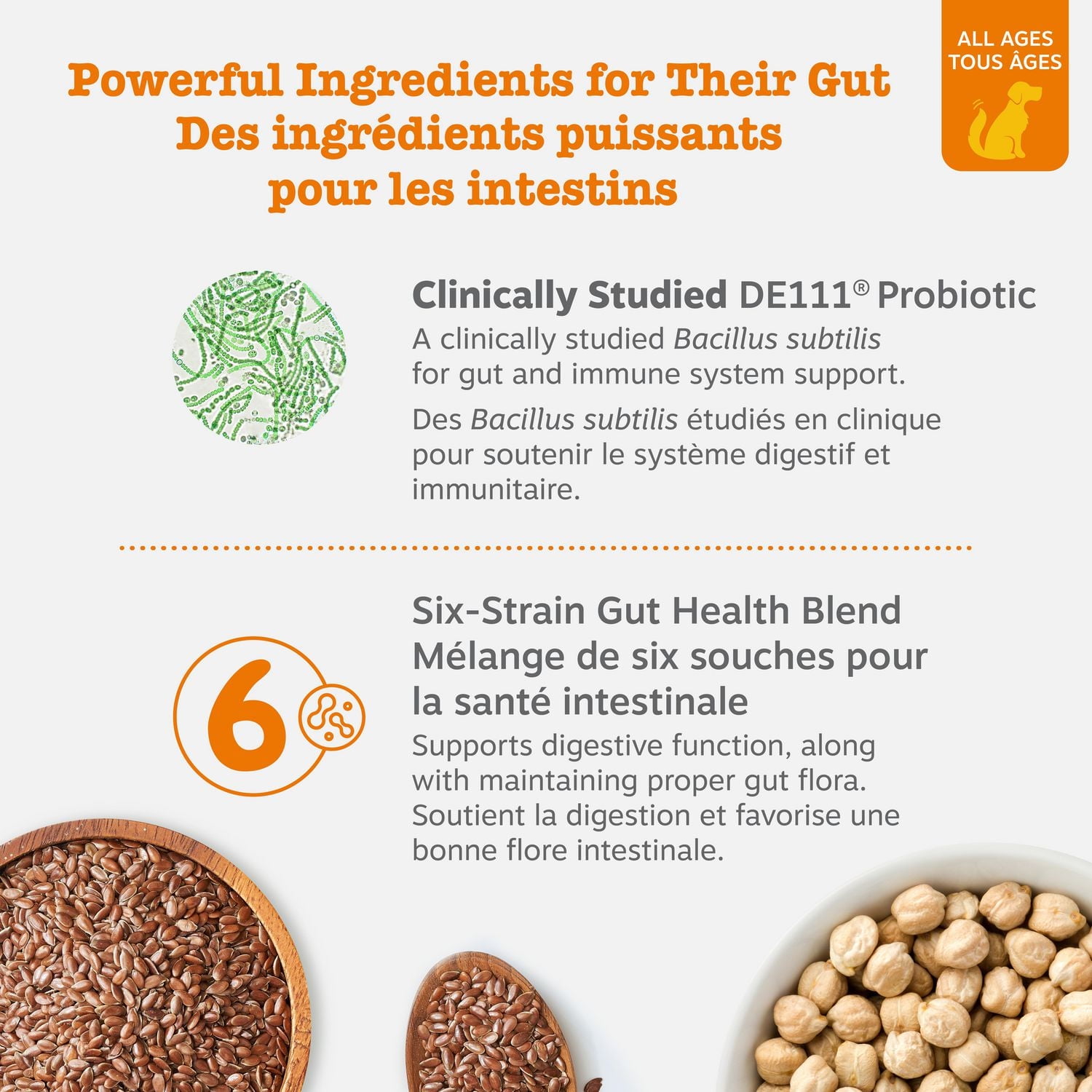 Zesty Paws Probiotic Soft Chews, Gut Flora & Digestive Supplement for Dogs, Pumpkin Flavour, 60-pk, 60 Chews