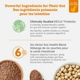 thumbnail image 4 of Zesty Paws Probiotic Soft Chews, Gut Flora & Digestive Supplement for Dogs, Pumpkin Flavour, 60-pk, 4 of 9