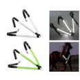 thumbnail image 1 of 2x Harnais de Poitrine pour Cheval avec Collier et Ceinture de Protection Blanc, 1 of 10