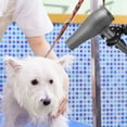 thumbnail image 1 of LITINKIMI Support de Sèche-Cheveux pour Animaux, Table de Toilettage, Support de Sèche-Cheveux, Pince, Support de Tube/tuyau pour Toilettage de Chien, Conception Robuste, 1 of 8