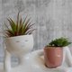 thumbnail image 3 of Flower Pot Indoor Plant Decoration Cute Resin Flower Pot Lying Figure Home Garden Decoration Gift, 3 of 5
