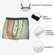 thumbnail image 3 of Balery Hardwood Calzoncillos bóxer para hombre, ropa interior de algodón suave y transpirable con cinturilla de nailon-Large, 3 of 5