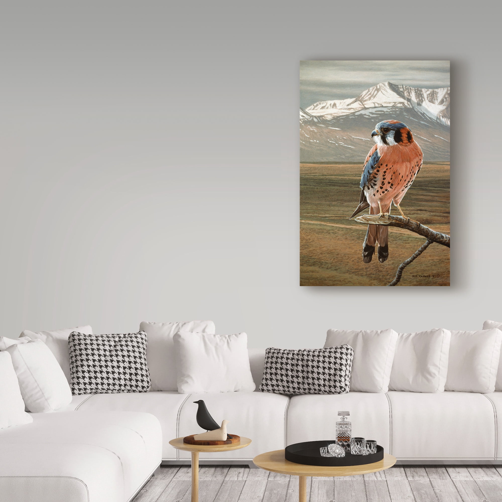 Trademark Fine Art 'American Kestrel' Canvas Art by Ron Parker
