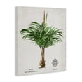 thumbnail image 2 of Stupell Industries Bohemian Natural Palm Variety Study Canvas Art, 36 x 48, by Val Rhodes, 2 of 8