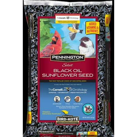 black sunflower seeds 40 lbs pennington select black sunflower seed bird seed and feed 40 lbs walmart black sunflower seeds 40 lbs pennington select black sunflower seed bird seed and feed 40 lbs walmart