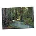 thumbnail image 2 of Gango Home Decor Redwood Forest I by Rita Crane (Ready to Hang); One 36x24in Hand-Stretched Canvas, 2 of 4
