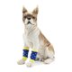 thumbnail image 3 of Calcetines para mascotas que protegen las articulaciones de los perros Productos para mascotas Calcetines para las rodillas Calcetines cómodos y transpirables para mascotas, 3 of 4