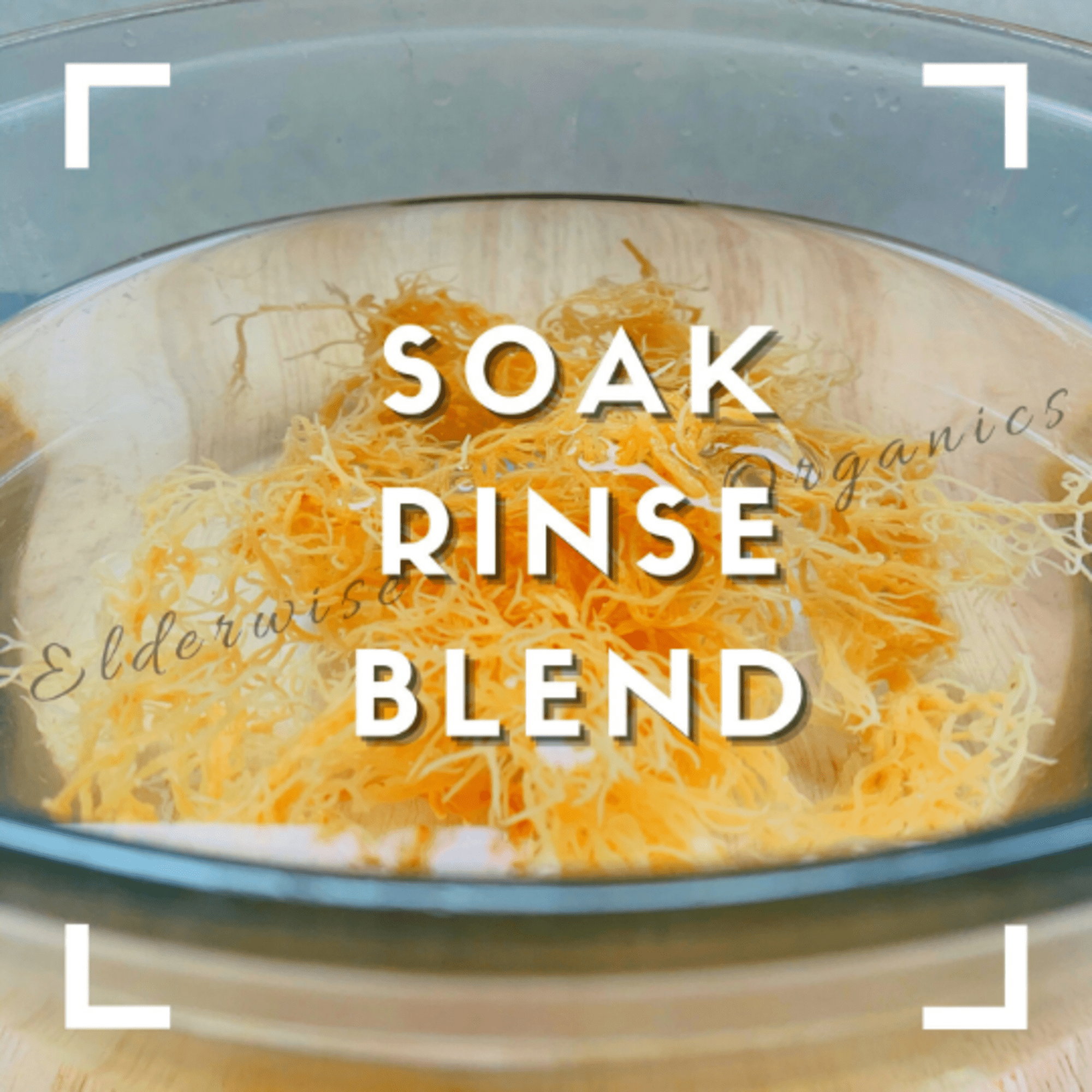 Sea Moss | Wildcrafted | Raw | Sundried | Mineral Rich | Makes 24 Ounces of Gel