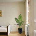 thumbnail image 5 of 5ft Artificial Bird of Paradise Plant, Faux Traveler Palm with Tall Black Planter, Fake Tropical Banana Leaf Plant for Indoor Home Garden Office Store Decor, 5 of 6