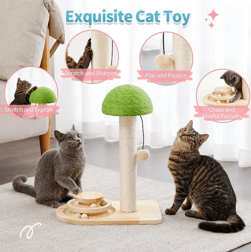 Cat Scratching Post, Mushroom Cat Scratcher with Sisal Ropes, Interactive Track Ball Toy, 2-in-1 Wood Scratch cattree