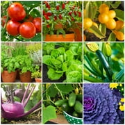 The Old Farmers Almanac Tomato & Vegetable Plant Food Mini Spikes 6-4-6, 24 Pack, 0.6 lbs