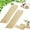 2pcs 10.6IN, variant on Interactive Catnip Chew Toy with 6000mg Organic Catnip, Soft Sisal Material Catnip Pillow & Dual Rope for Scratching, Kicking and Teeth Cleaning Play