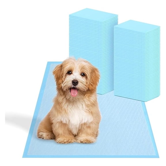 Super Absorbent Waterproof Dog and Puppy Pet Training Pad, Housebreaking Pet Pad, 200-Count Small-Size, 17.1’’X23.6’’, Blue