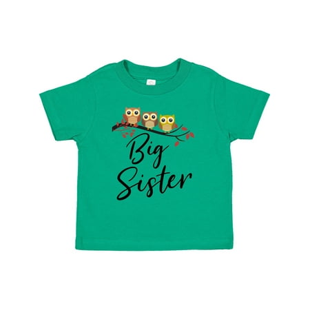 

Inktastic Owl Big Sister Gift Toddler Toddler Girl T-Shirt