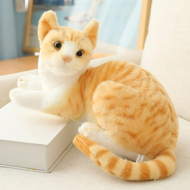 Kitten with stuffed animal cheap