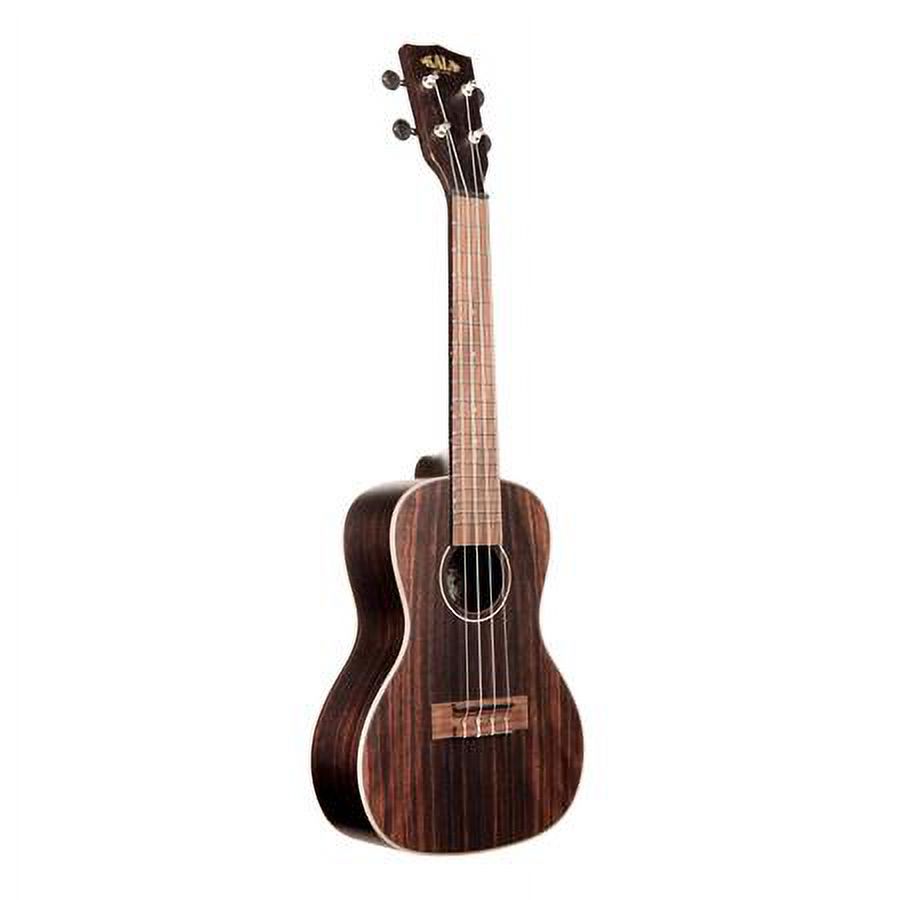 Kala KA-EBY-C Ebony Concert Ukulele
