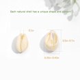thumbnail image 2 of 100 Pcs de Coquille Naturelle Accessoires diy (11*17mm 100 Pcs), 2 of 10