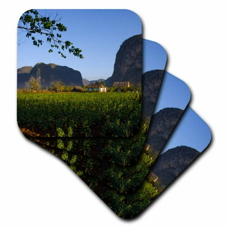 Soft Crop - 3dRose Vinales Valley and Tobacco Crop. Sierra Rosario Mountains. Cuba, Soft Coasters, set of 8