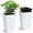 White, variant on EastVita Tall Planters Set of 2 Self Watering Technology Water Level Monitor Mobility Wheels Drainage Design Removable Inner Bucket for Porch Patio Indoor Outdoor