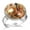 Multi 4, variant on Marine Life Ocean Seaworld Stainless Steel Rings for Women, Open Adjustable Ring Promise Ring Jewelry Gifts