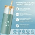 Wattne 20oz Glass Water Tumbler with Straw and Lid,Bamboo Lids Water