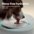 thumbnail image 5 of Petlibro 270oz/2.1Gal/8L Capsule Dog Water Fountain – Anti-Splash, Super Quiet Dispenser for Medium to Large Dogs, Ideal for Dogs, and Multi-Pet Homes, 5 of 10