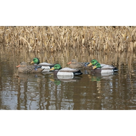 Higdon Standard Mallard Foam-Filled Decoys (Pk/6)