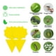 thumbnail image 3 of Trampas adhesivas para moscas trampa para frutas no tóxica de doble cara (girasoles) amarillo 10 Uds., 3 of 5