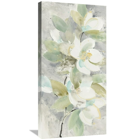 Global Gallery Albena Hristova 'Pale Magnolia' Canvas Wall Art