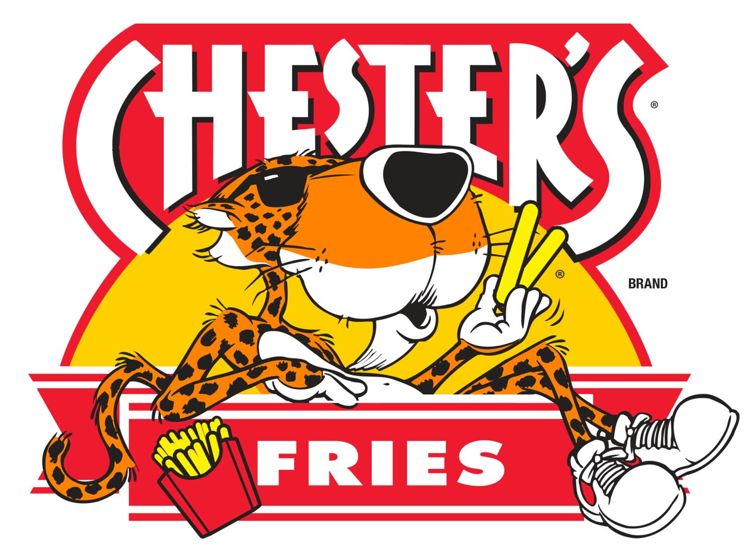 (3 pack) Chester's Fries Corn Snacks Flamin' Hot Flavored 8.625 Ounce Bag