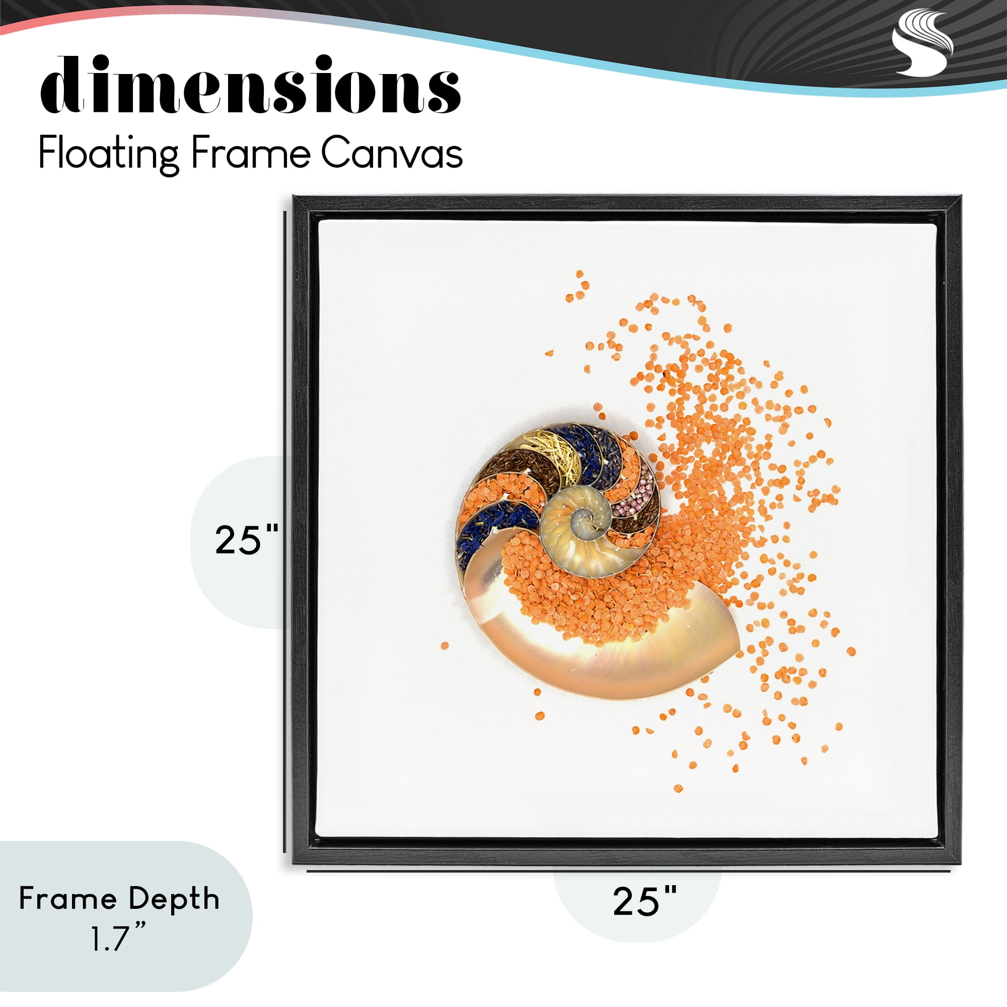 Stupell Industries Orange Nautilus Spiral Black Framed Floater Canvas Wall Art, design by Beth Adoette