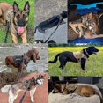 thumbnail image 5 of Large Dog Harness And Leash Set Pet German Shepherd Malinois Training Walking Vest Dog Harness And Collar Set For All Breeds Dog, 5 of 5