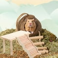 thumbnail image 3 of MRLESS Hamster Climbing Ladder Wooden Platform for Small Pets & Birds, 3 of 7