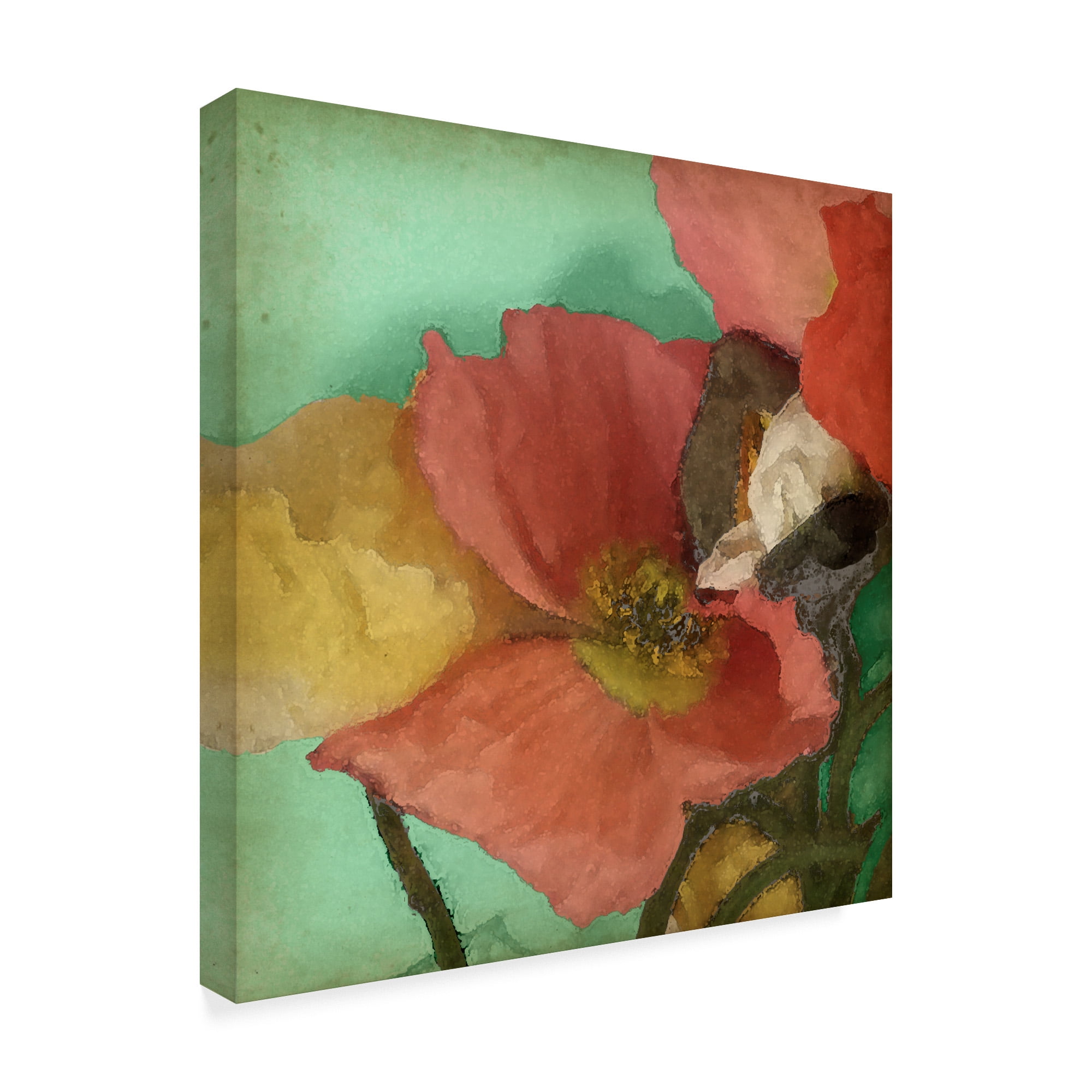 Trademark Fine Art 'Aquatic Poppies I' Canvas Art by Jennifer Goldberger