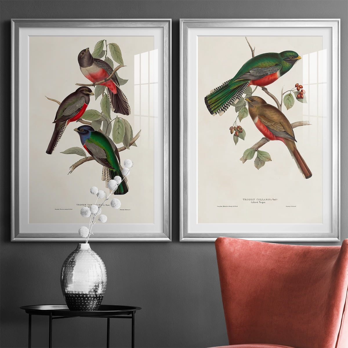 Wexford Home Elegant Trogons V Premium Framed Print, 18.5" x 24.5" - Ready to Hang, Silver (Set of 2)