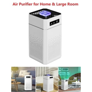 Air cleaners sale walmart