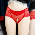 thumbnail image 4 of Miluxas Plus Size Lace Boyshorts Panty Low Rise Hipster Panties Underwear for Women Crotchless Red XXL, 4 of 8
