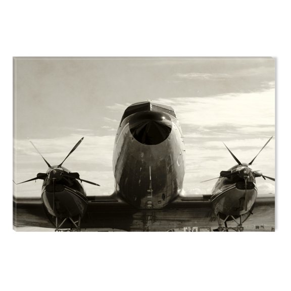 Startonight Canvas Wall Art Black and White Abstract Silver Plane, Dual View Surprise Artwork Modern Framed Ready to Hang Wall Art 100% Original Art Painting 23.62 X 35.43 inch