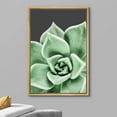 thumbnail image 3 of wall26 Framed Canvas Print Wall Art Close Up Southwest Desert Succulent Cactus Nature Wilderness Photography Realism Floral Botanical Multicolor for Living Room, Bedroom, Office - 16"x24" N, 3 of 5
