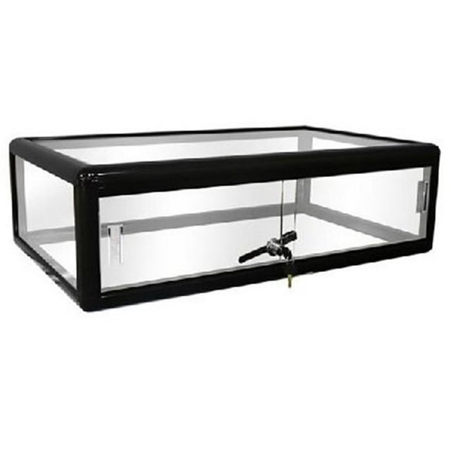 Vitrine Tour de Comptoir en Verre 30 x 9 Po, Noir