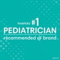 thumbnail image 2 of Pampers Swaddlers Newborn Diapers, Soft and Absorbent, Size 1, 168 Ct, 2 of 7